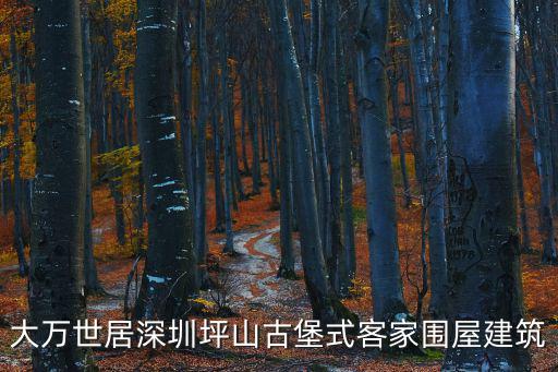 大萬世居深圳坪山古堡式客家圍屋建筑