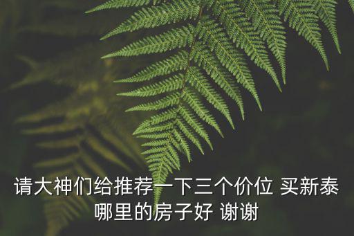 請大神們給推薦一下三個價位 買新泰哪里的房子好 謝謝