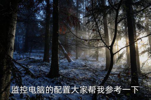 監控電腦的配置大家幫我參考一下