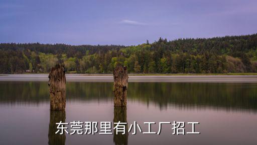 東莞那里有小工廠招工