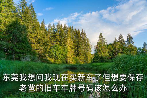 東莞我想問我現在買新車了但想要保存老爸的舊車車牌號碼該怎么辦