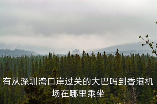 有從深圳灣口岸過關的大巴嗎到香港機場在哪里乘坐