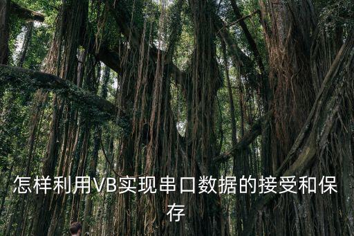 vb6怎么訪問rs232串口，怎樣利用VB實現串口數據的接受和保存
