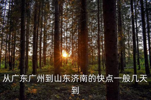 從廣東廣州到山東濟南的快點一般幾天到