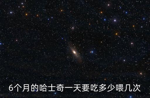 哈士奇一天要吃多少狗糧，6個月的哈士奇一天要吃多少喂幾次
