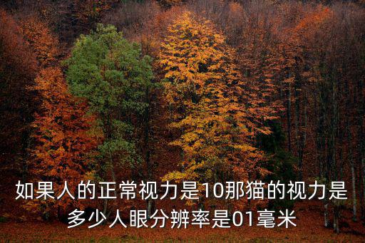 貓視力多少，如果人的正常視力是10那貓的視力是多少人眼分辨率是01毫米