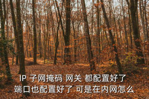 IP 子網(wǎng)掩碼 網(wǎng)關(guān) 都配置好了 端口也配置好了 可是在內(nèi)網(wǎng)怎么