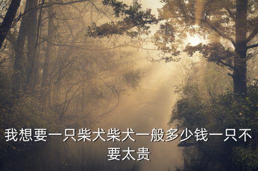 我想要一只柴犬柴犬一般多少錢一只不要太貴