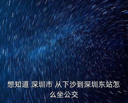 想知道 深圳市 從下沙到深圳東站怎么坐公交