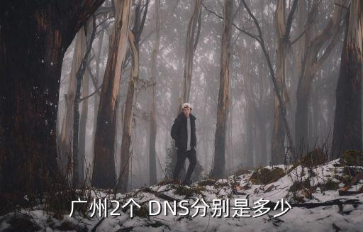 廣州2個 DNS分別是多少