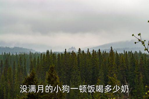 幼犬每天吃多少奶粉，3天小狗喂奶粉喂多少