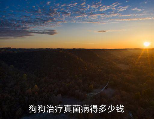 狗狗治療真菌病得多少錢
