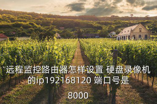 遠程監控路由器怎樣設置 硬盤錄像機的ip192168120 端口號是8000