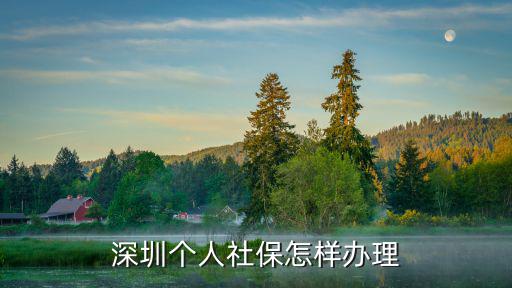 深圳個人社保怎樣辦理