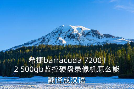 希捷barracuda 720012 500gb監控硬盤錄像機怎么能翻譯成漢語