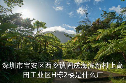深圳市寶安區西鄉鎮固戍海濱新村上高田工業區H棟2樓是什么廠