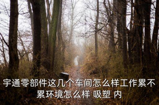 東莞大嶺山宇通廠好嗎，宇通零部件這幾個車間怎么樣工作累不累環境怎么樣 吸塑 內