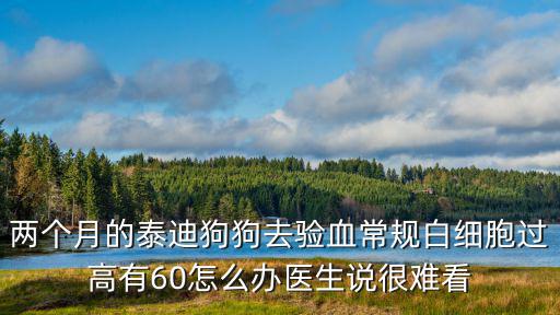 小狗白細胞高多少正常，狗狗白血球最高有多少