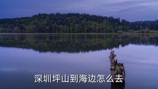 深圳坪山到海邊怎么去