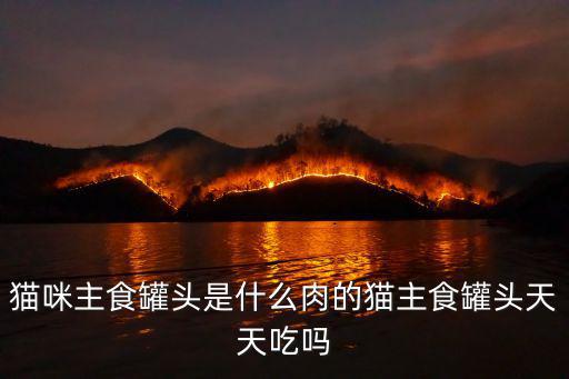 貓咪主食罐頭是什么肉的貓主食罐頭天天吃嗎