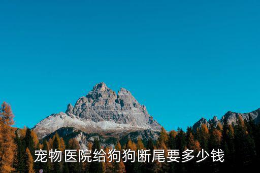 比熊斷尾多少錢，比熊寶寶可以斷尾嗎