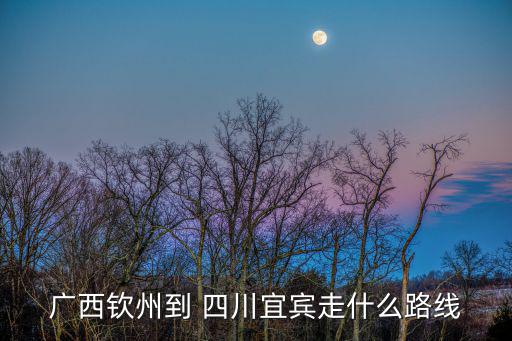 廣西欽州到 四川宜賓走什么路線