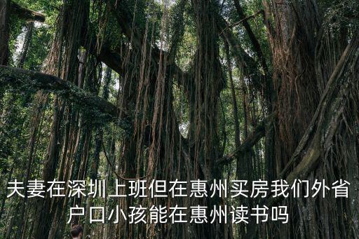 深圳去惠州買房 孩子上學(xué)，夫妻在深圳上班但在惠州買房我們外省戶口小孩能在惠州讀書嗎