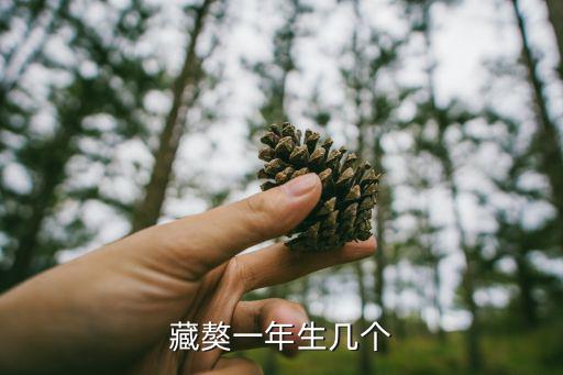 藏獒一年生幾個