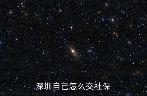 深圳市個人交納社保，深戶社保個人怎么交