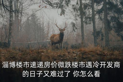 淄博樓市速遞房價微跌樓市遇冷開發商的日子又難過了 你怎么看