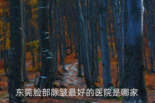 東莞臉部除皺最好的醫院是哪家