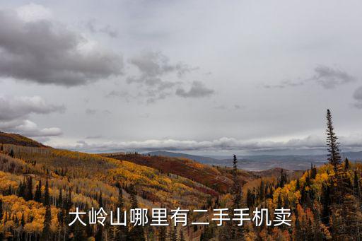 大嶺山哪里有二手手機賣