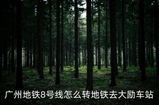廣州地鐵8號線怎么轉(zhuǎn)地鐵去大勵(lì)車站