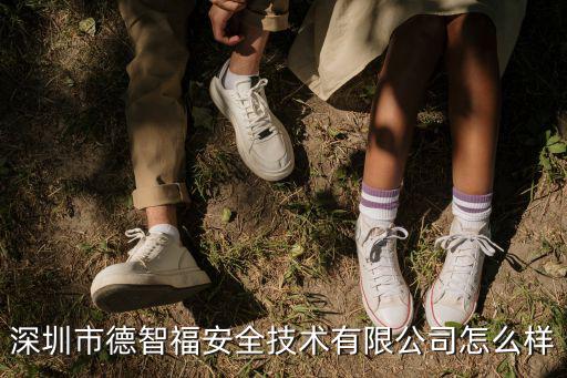 深圳市德智福安全技術(shù)有限公司怎么樣