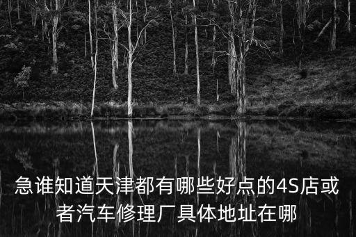 急誰知道天津都有哪些好點的4S店或者汽車修理廠具體地址在哪