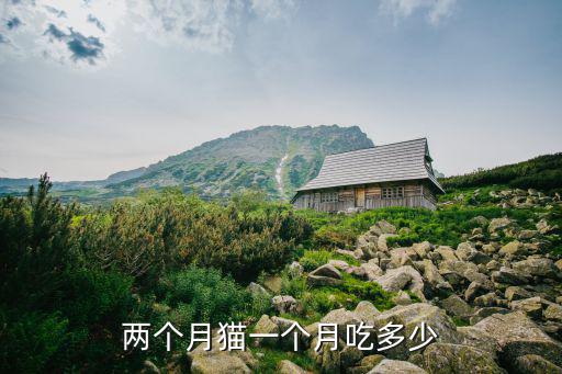 兩個月貓一個月吃多少