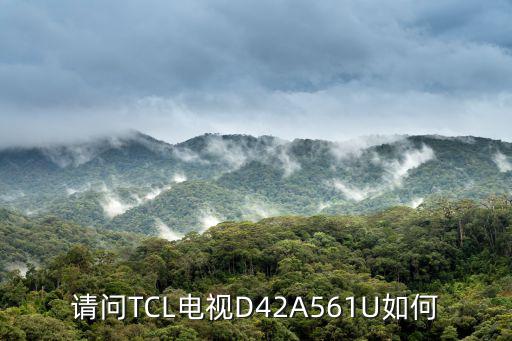 請問TCL電視D42A561U如何