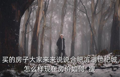 如何看待合肥濱湖房價，買的房子大家來來說說合肥濱湖世紀(jì)城怎么樣現(xiàn)在房價如何  搜
