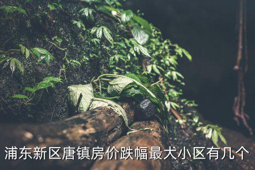 浦東哪個小區房價降價，浦東新區唐鎮房價跌幅最大小區有幾個