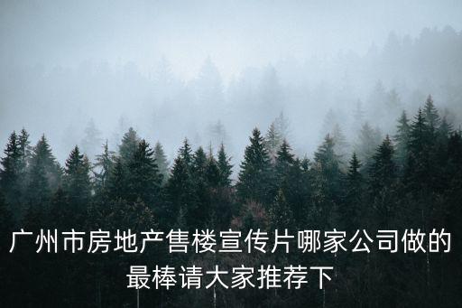 廣州市房地產(chǎn)售樓宣傳片哪家公司做的最棒請大家推薦下