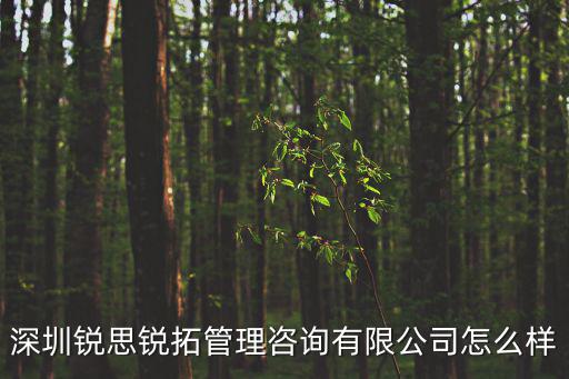 深圳銳思銳拓管理咨詢，深圳銳思銳拓管理咨詢有限公司怎么樣