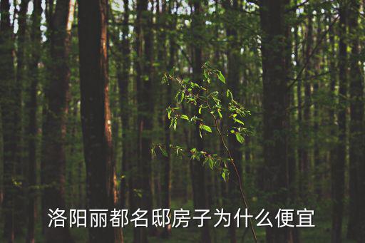 洛陽麗都名邸房子為什么便宜