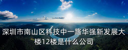 深圳市南山區(qū)科技中一路華強(qiáng)新發(fā)展大樓12樓是什么公司