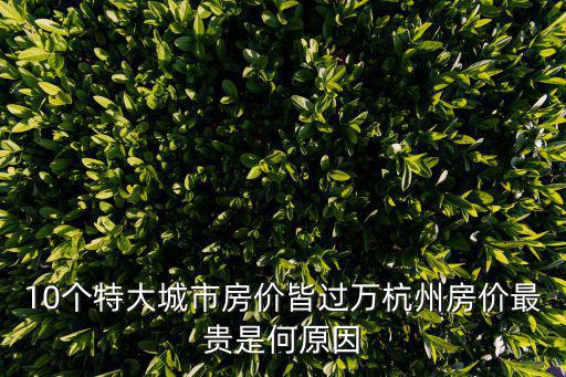 10個特大城市房價皆過萬杭州房價最貴是何原因