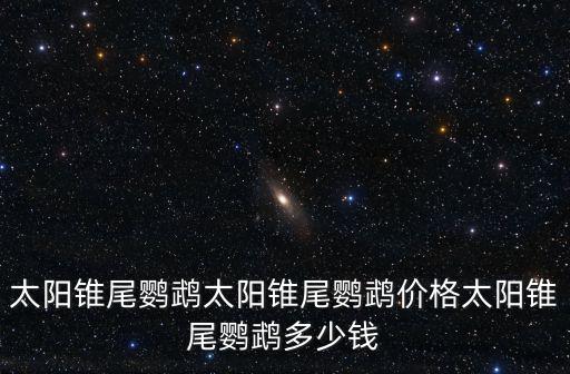 綠頰錐尾鸚鵡多少錢左右，綠桃鸚鵡多少錢一只