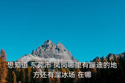 東莞鳳崗有什么酒吧，想知道 東莞市 鳳崗哪里有蹦迪的地方還有溜冰場 在哪