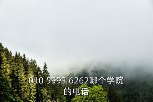 010 5993 6262哪個學院的電話