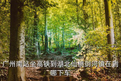 廣州南站坐高鐵到湖北仙桃剅河鎮(zhèn)在到哪下車