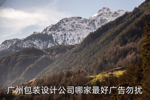 廣州包裝設(shè)計(jì)公司哪家最好廣告勿擾