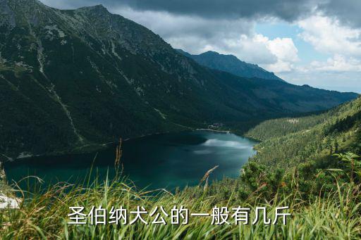 圣伯納犬公的一般有幾斤